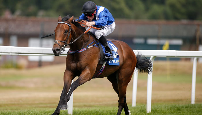 Glorious Goodwood: Tips from all five days of the festival